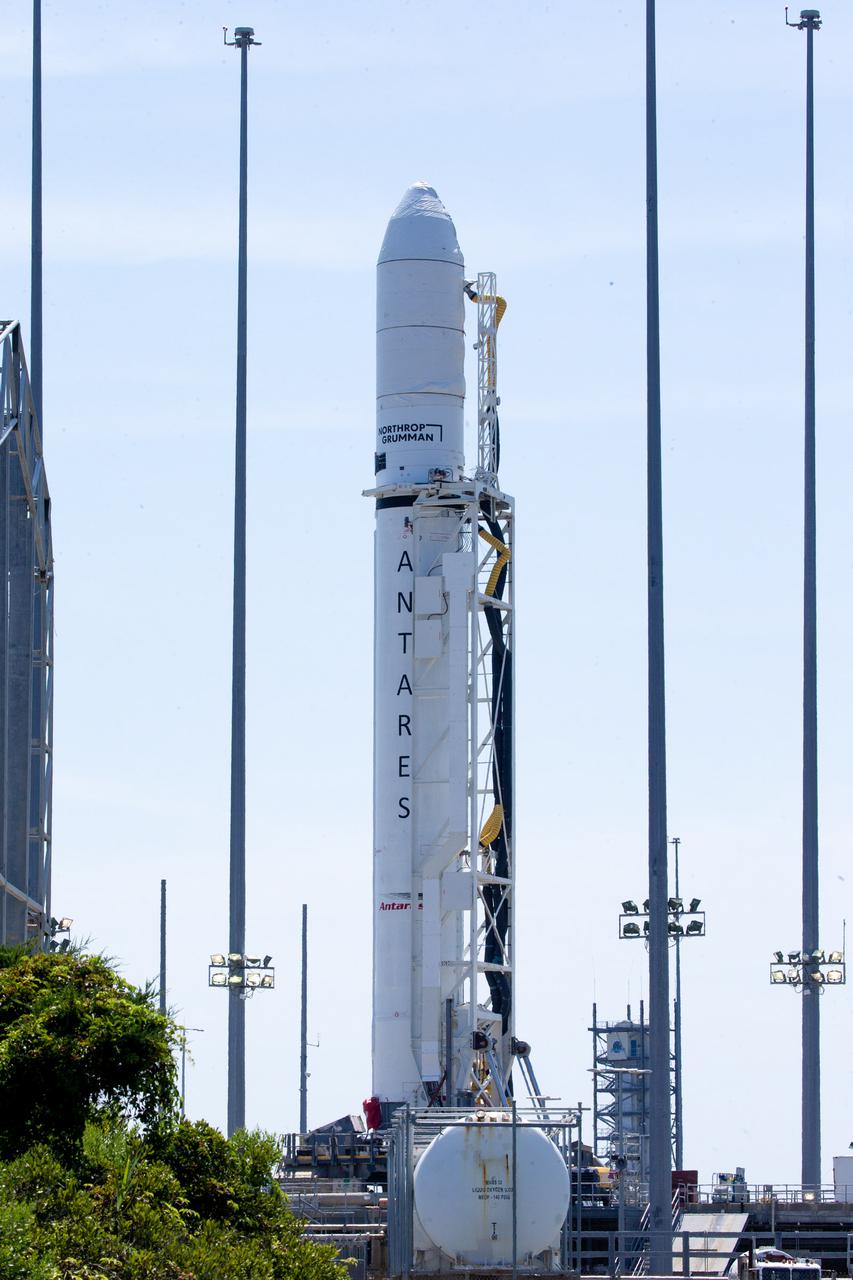 A Northrop Grumman Antares rocket carrying a Cygnus resupply spacecraft is raised into a vertical position on the Mid-Atlantic Regional Spaceport’s Pad-0A, Friday, Aug. 6, 2021, at NASA's Wallops Flight Facility in Virginia. Northrop Grumman’s 16th contracted cargo resupply mission with NASA to the International Space Station will deliver about 8,200 pounds of science and research, crew supplies and vehicle hardware to the orbital laboratory and its crew. Northrop Grumman named the NG CRS-16 Cygnus spacecraft after NASA astronaut Ellison Onizuka,  in honor of his prominence as the first Asian American astronaut. Onizuka was hired in 1978 in the first class of diverse astronauts, and his first spaceflight was aboard space shuttle Discovery in January 1985 for STS-51-C. He lost his life aboard the space shuttle Challenger in 1986. The launch is scheduled for 5:56 p.m. EDT, Aug. 10, 2021.   Photo Credit: NASA/Terry Zaperach