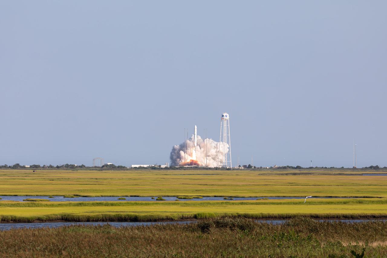 A Northrop Grumman Antares rocket, with the company’s Cygnus spacecraft onboard, launches on Tuesday, Aug. 10, 2021, from the Mid Atlantic Regional Spaceport’s Pad-0A, at NASA's Wallops Flight Facility in Virginia. Northrop Grumman's 16th contracted cargo resupply mission for NASA to the International Space Station is carrying nearly 8,200 pounds of science and research, crew supplies and vehicle hardware to the orbital laboratory and its crew. Credit: NASA Wallops/Allison Stancil