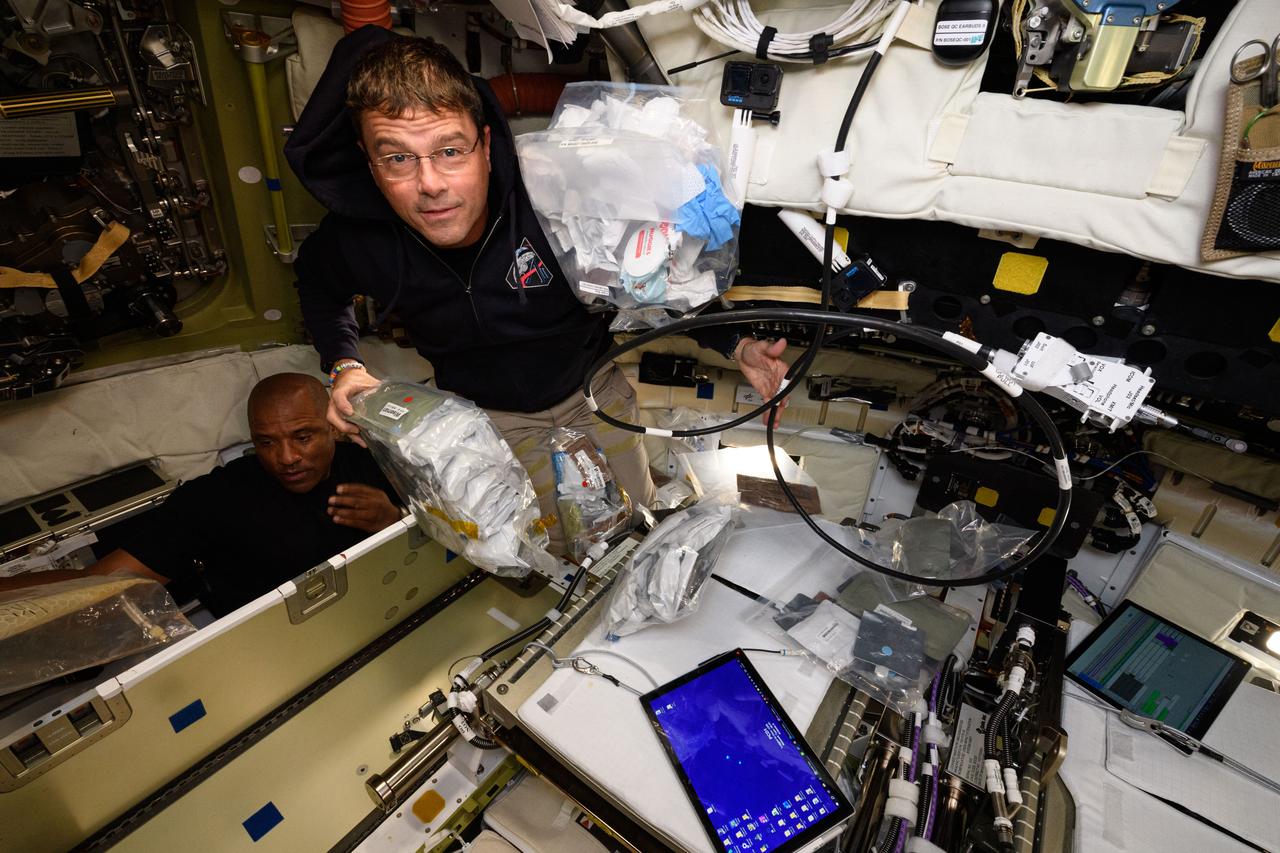 Life in Orion during the Artemis II Mission