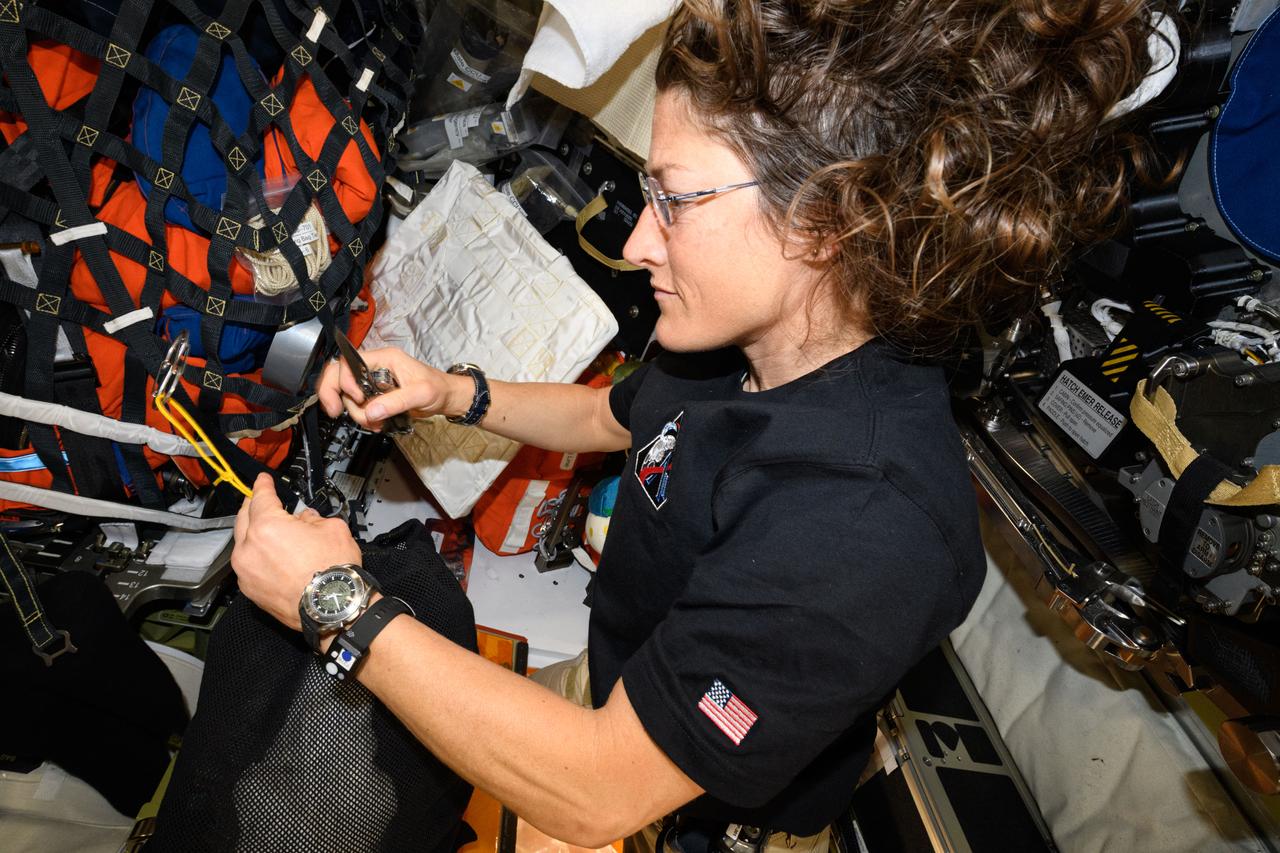 Life in Orion during the Artemis II Mission