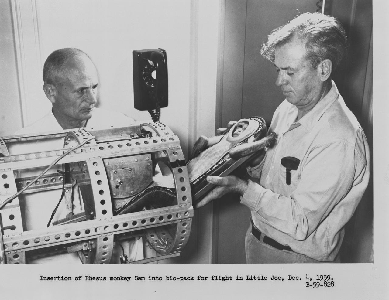 B59-00828 (21 Jan. 1959) --- The test subject, a rhesus monkey named Miss Sam, is seen encased in a model of the Mercury fiberglass contour couch. She is being placed in a container for the Little Joe 1B suborbital test flight of the Mercury Capsule. Photo credit: NASA
