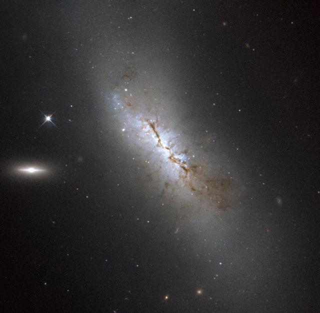 The galaxy pictured here is NGC 4424, located in the constellation of  Virgo. It is not visible with the naked eye but has been captured here with the NASA/ESA Hubble Space Telescope. Although it may not be obvious from this image, NGC 4424 is in fact a spiral galaxy. In this image it is seen more or less edge on, but from above you would be able to see the arms of the galaxy wrapping around its centre to give the characteristic spiral form . In 2012 astronomers observed a supernova in NGC 4424 — a violent explosion marking the end of a star’s life. During a supernova explosion, a single star can often outshine an entire galaxy. However, the supernova in NGC 4424, dubbed SN 2012cg, cannot be seen here as the image was taken ten years prior to the explosion. Along the central region of the galaxy, clouds of dust block the light from distant stars and create dark patches. To the left of NGC 4424 there are two bright objects in the frame. The brightest is another, smaller galaxy known as LEDA 213994 and the object closer to NGC 4424 is an anonymous star in our Milky Way. A version of this image was entered into the Hubble's Hidden Treasures image processing competition by contestant Gilles Chapdelaine.