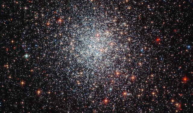 NASA image: A youthful cluster