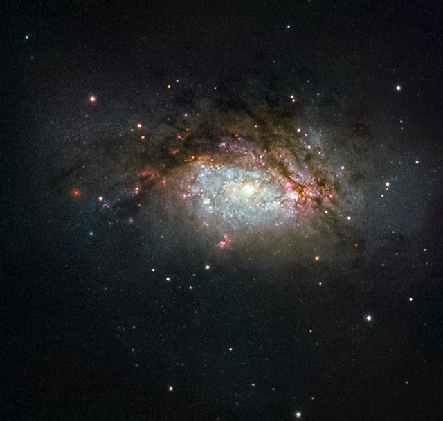 The subject of this NASA/ESA Hubble Space Telescope image is known as NGC 3597. It is the product of a collision between two good-sized galaxies, and is slowly evolving to become a giant elliptical galaxy. This type of galaxy has grown more and more common as the Universe has evolved, with initially small galaxies merging and progressively building up into larger galactic structures over time. NGC 3597 is located approximately 150 million light-years away in the constellation of Crater (The Cup). Astronomers study NGC 3597 to learn more about how elliptical galaxies form — many ellipticals began their lives far earlier in the history of the Universe. Older ellipticals are nicknamed “red and dead” by astronomers because these bloated galaxies are not anymore producing new, bluer, stars in ages, and are thus packed full of old and redder stellar populations. Before infirmity sets in, some freshly formed elliptical galaxies experience a final flush of youth, as is the case with NGC 3597. Galaxies smashing together pool their available gas and dust, triggering new rounds of star birth. Some of this material ends up in dense pockets initially called proto-globular clusters, dozens of which festoon NGC 3597. These pockets will go on to collapse and form fully-fledged globular clusters, large spheres that orbit the centres of galaxies like satellites, packed tightly full of millions of stars.