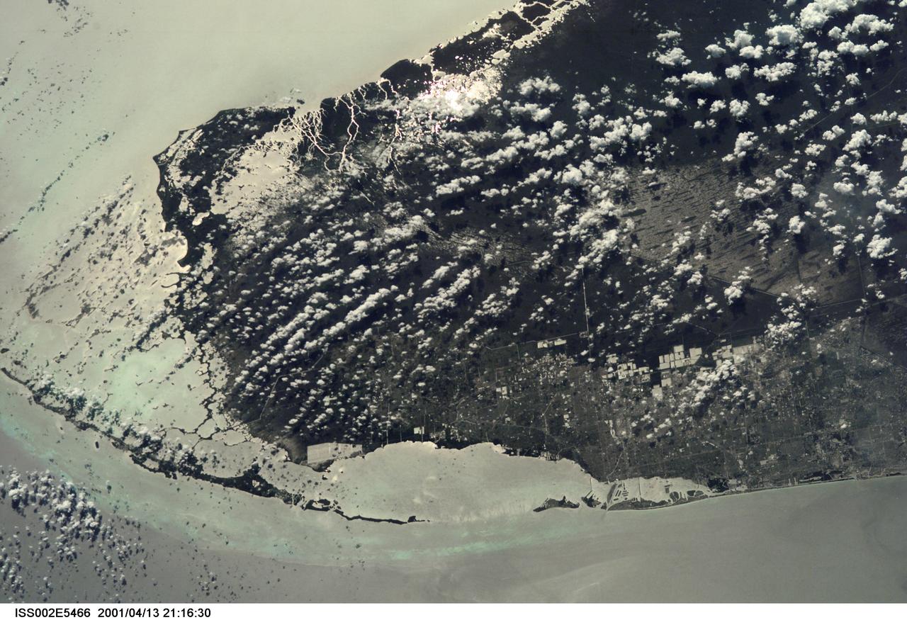 ISS002-E-5466 (13 April 2001) --- From the International Space Station (ISS), an Expedition Two crew member photographed southern Florida, including Dade County with Miami and Miami Beach; Everglades National Park; Big Cypress National Reserve; and the Florida Keys and many other recognizable areas. The crew member, using a digital still camera on this same pass, also recorded imagery of the Lake Okeechobee area, just north of the area represented in this frame.