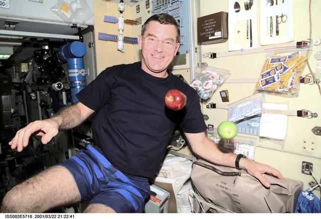 NASA image: Voss in Service Module with apples