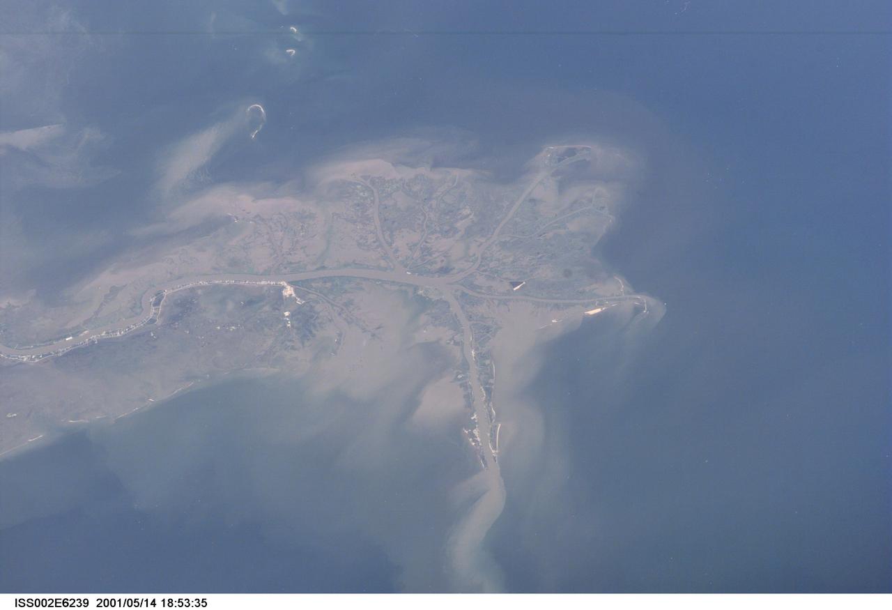 ISS002-E-6239 (14 May 2001) --- This digital still camera's image, recorded by one of the Expedition Two crew members aboard the International Space Station, features the mouth of the Mississippi River.  The distribution of riverborne sediments is clearly evident in the Gulf of Mexico. This delta area is often referred to as the &quot;crow's foot.&quot;