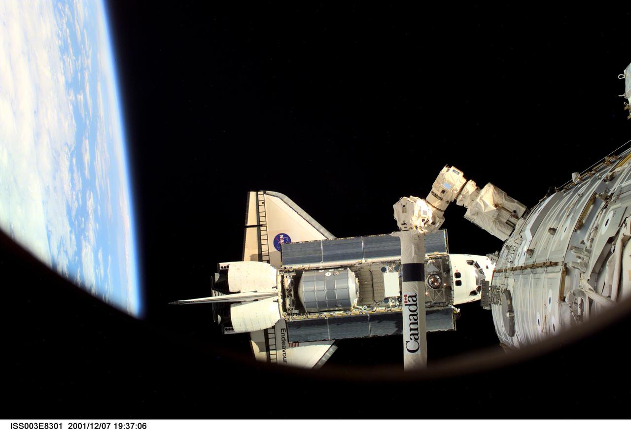 ISS003-E-8301 (7 December 2001) --- The Space Shuttle Endeavour, controlled by the flight crew of STS-108, is backdropped against the blackness of space over Earth's horizon as it approaches the International Space Station (ISS). The Raffaello logistics module that is being brought up to the orbiting outpost is clearly visible in Endeavour's cargo bay. The  Space Station Remote Manipulator System  (SSRMS) or Canadarm2 is visible at lower right. Among other activities the Endeavour's mission will include the change out of the station crews.  The image was recorded with a digital still camera.