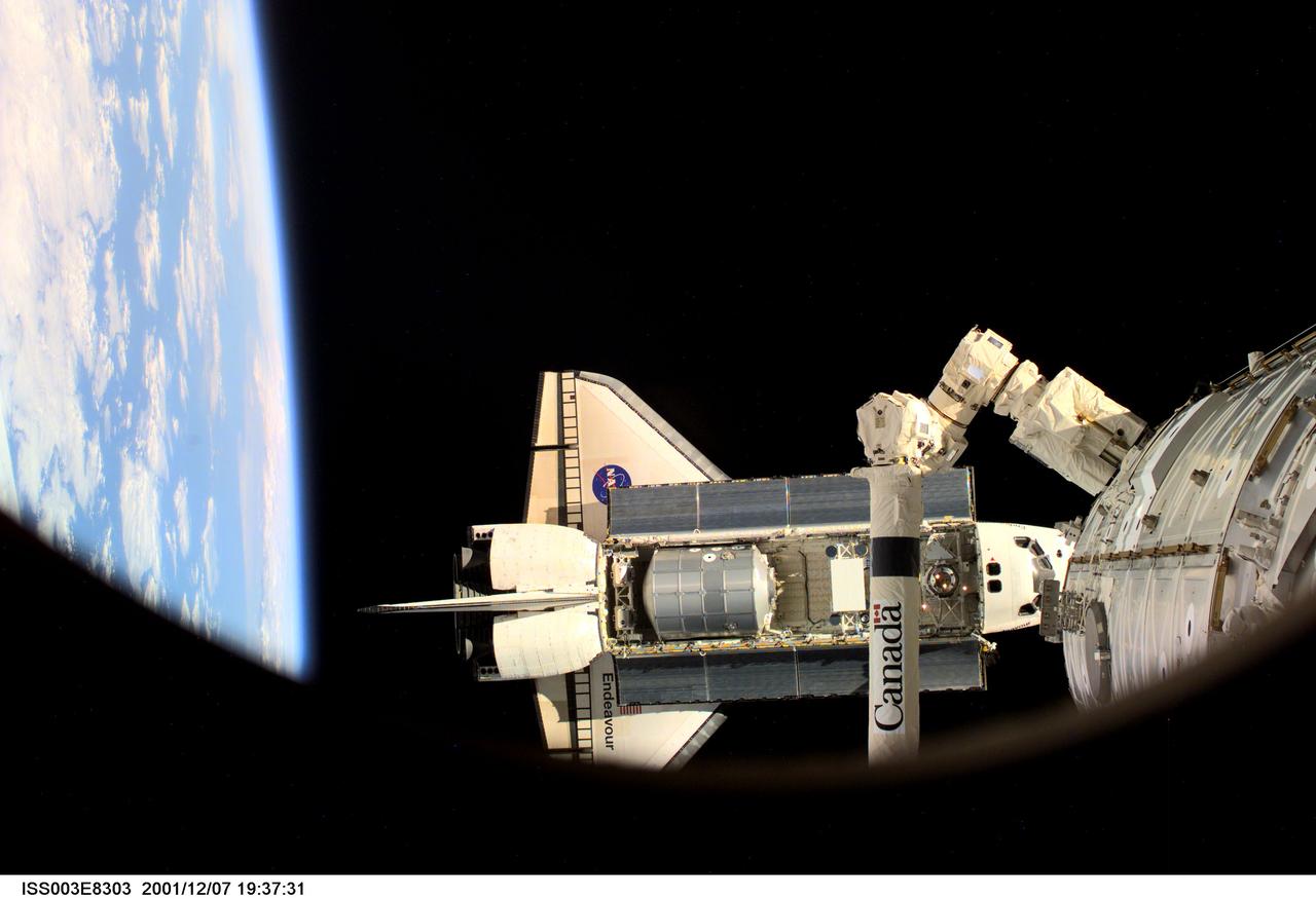 ISS003-E-8303 (7 December 2001) --- The Space Shuttle Endeavour, controlled by the flight crew of STS-108, is backdropped against the blackness of space over Earth's horizon as it approaches the International Space Station (ISS). The Raffaello logistics module that is being brought up to the orbiting outpost is clearly visible in Endeavour's cargo bay. The  Space Station Remote Manipulator System  (SSRMS) or Canadarm2 is visible at lower right. Among other activities the Endeavour's mission will include the change out of the station crews.  The image was recorded with a digital still camera.