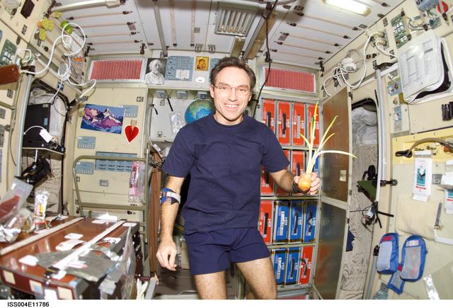 NASA image: Walz holds a sprouted onion in the SM during Expedition Four
