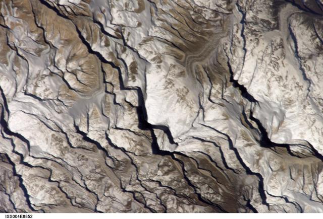 Himalayan Mtns. and Mt. Everest Earth observation taken by Dan Bursch during EXP. Four