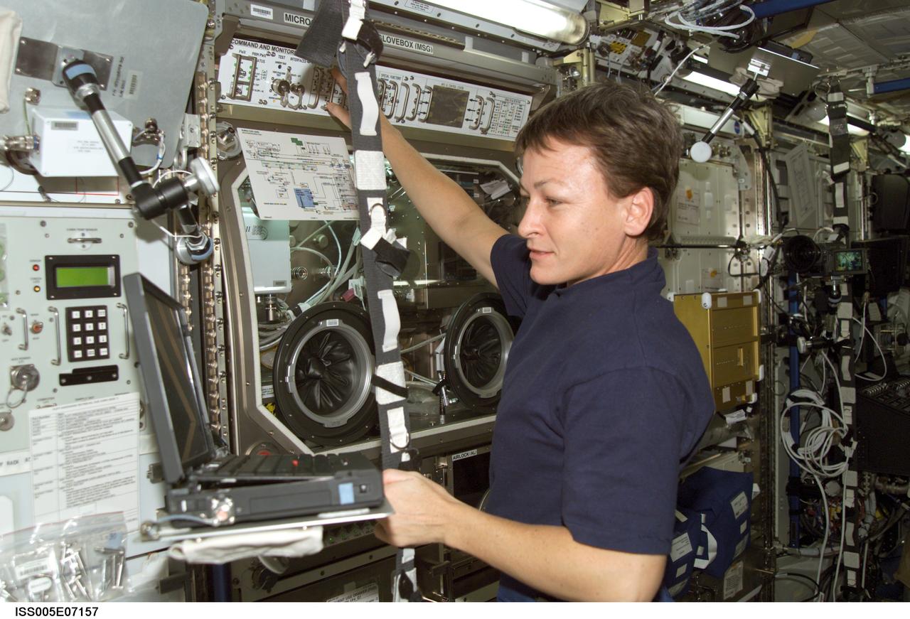 ISS005-E-07157 (8 July 2002) --- Astronaut Peggy A. Whitson, Expedition Five flight engineer, works with the Microgravity Science Glovebox (MSG) in the Destiny laboratory on the International Space Station (ISS).