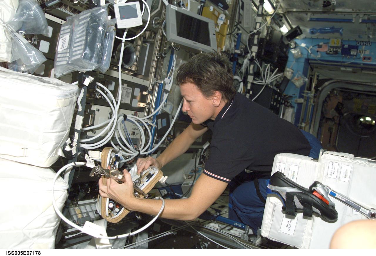 ISS005-E-07178 (9 July 2002) --- Astronaut Peggy A. Whitson, Expedition Five flight engineer, works in the Destiny laboratory on the International Space Station (ISS).