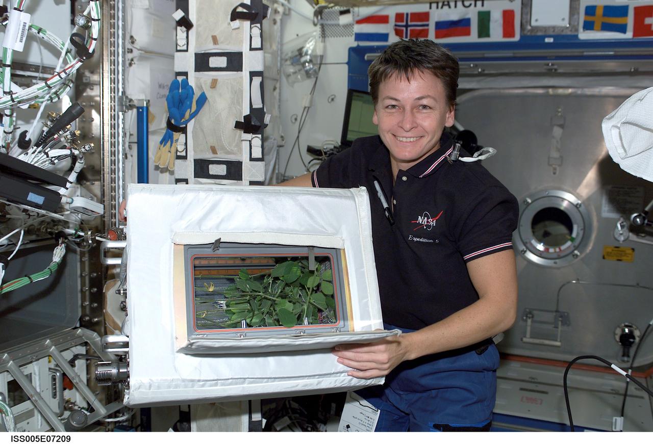 ISS005-E-07209 (10 July 2002) --- Astronaut Peggy A. Whitson, Expedition Five NASA ISS science officer, holds the Advanced Astroculture soybean plant growth experiment in the Destiny laboratory on the International Space Station (ISS).