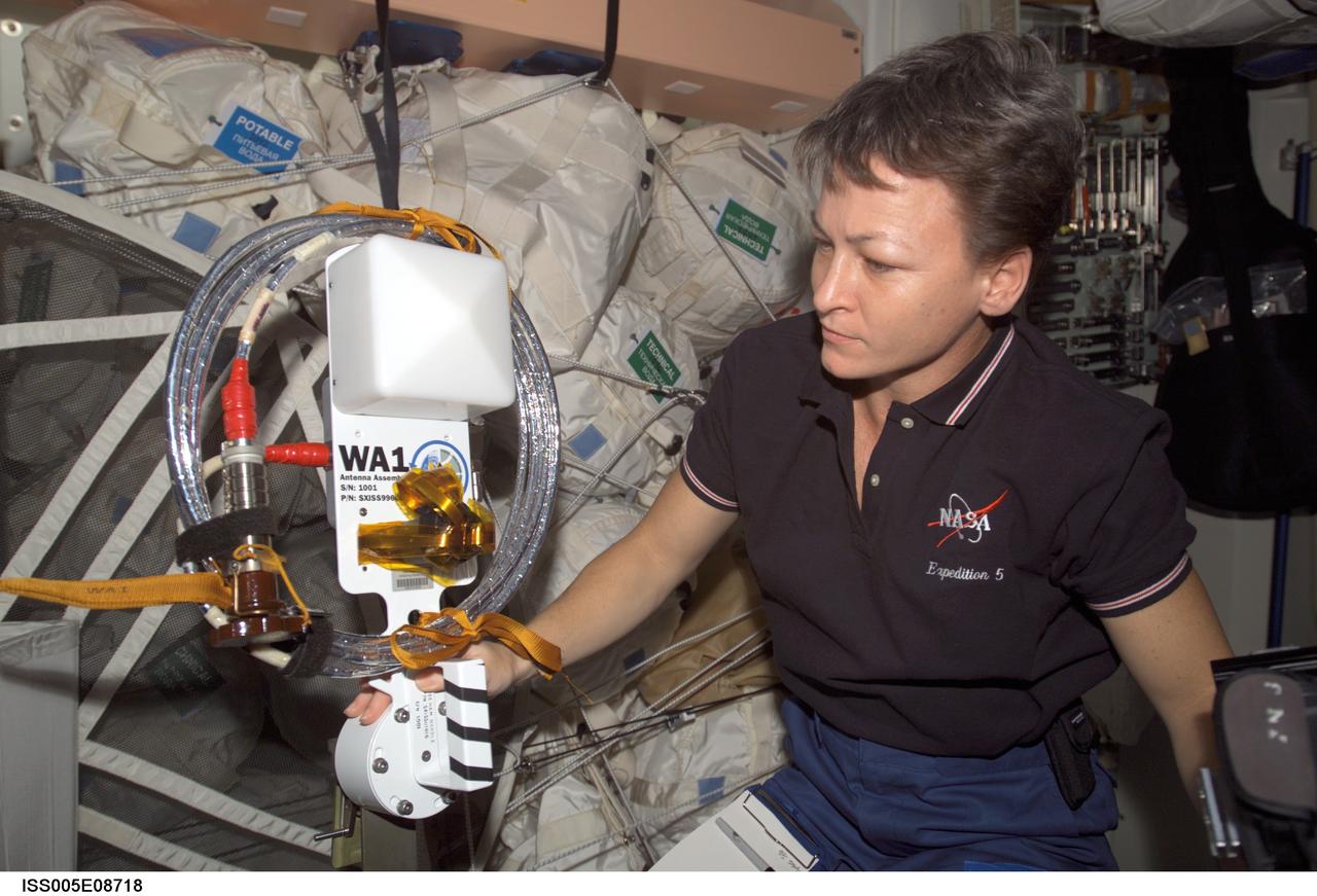 ISS005-E-08718 (6 August 2002) --- Astronaut Peggy A. Whitson, Expedition Five flight engineer, holds one of the two amateur radio antennas in the Unity node on the International Space Station (ISS). The antennas will be installed during a spacewalk scheduled for August 22, 2002.