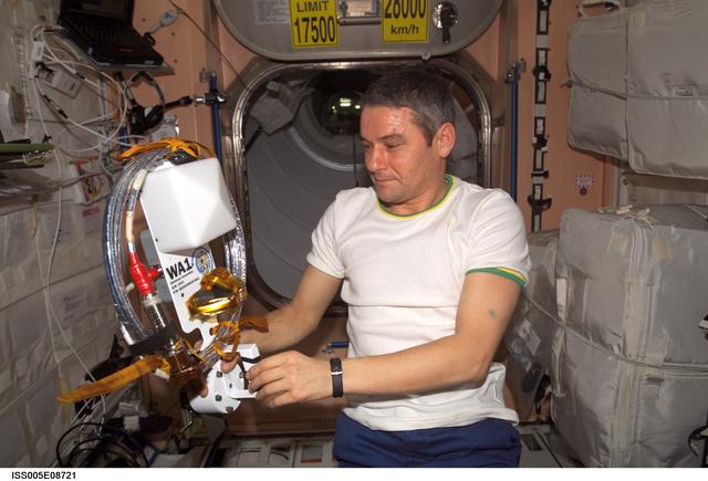 NASA image: WA1 Antenna assembly cables and connector