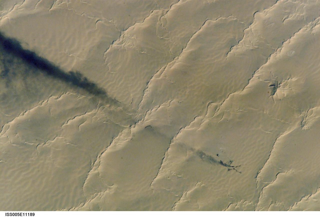 ISS005-E-11189 (25 August 2002) --- Calanscio Sand Sea, Libya is featured in this digital image photographed by an Expedition 5 crewmember on the International Space Station (ISS). A plume of black smoke blowing westward is silhouetted against yellow linear dunes in the great sand sea of northeast Libya. Smoke from flares at remote well heads is commonly seen by astronauts flying over the Sahara Desert. NASA scientists studying the Station imagery had the following observations about the image. The plume dispersal pattern visible at the left edge of the image may be due to upper-level winds or gravitational settling of heavier particulates. The regular pattern of linear dunes is generated by two major winds: the dominant north wind (north is towards the top right) determines the orientation of the sand dunes. Gentler easterly winds, as were blowing when this view was taken, make the dunes asymmetric, with a gentle windward (west) slope and an over steeped downwind slope. Some over steepened slopes even cast shadows in the early morning light. One mound of sand (top right), due north of the well head, does not fit the pattern of linear dunes. This type is known as a star dune.