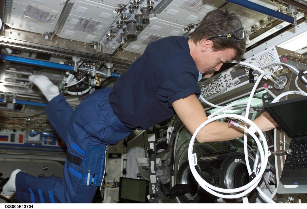 ISS005-E-13704 (11 September 2002) --- Astronaut Peggy A. Whitson, Expedition Five flight engineer, works with the Microgravity Science Glovebox (MSG) in the Destiny laboratory on the International Space Station (ISS).