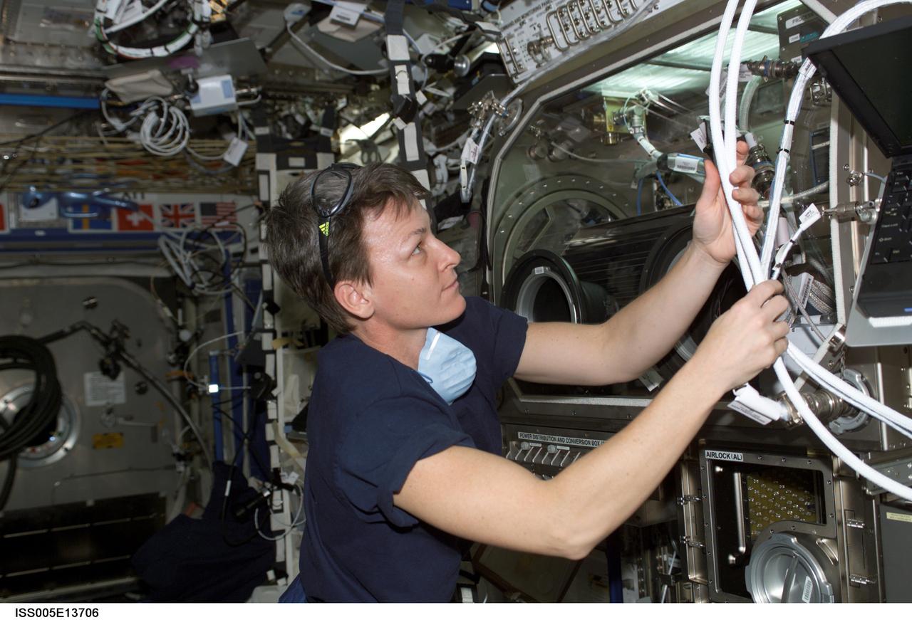 ISS005-E-13706 (11 September 2002) --- Astronaut Peggy A. Whitson, Expedition Five flight engineer, works with the Microgravity Science Glovebox (MSG) in the Destiny laboratory on the International Space Station (ISS).