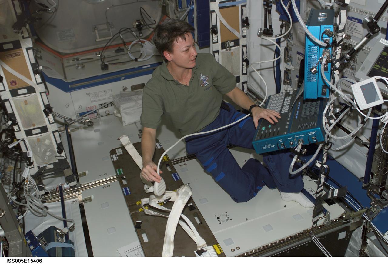 ISS005-E-15406 (23 September 2002) --- Astronaut Peggy A. Whitson, Expedition Five flight engineer, works in the Destiny laboratory on the International Space Station (ISS).