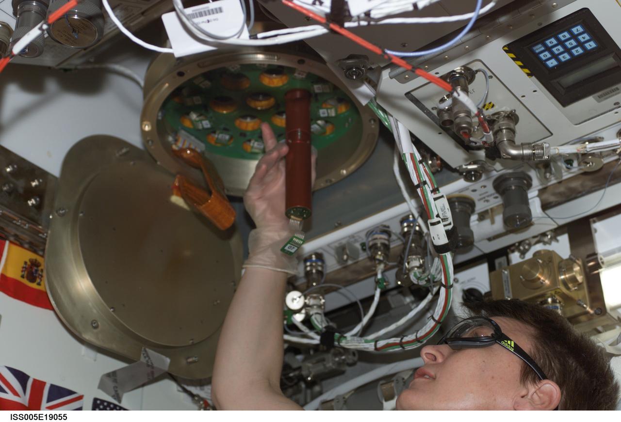 ISS005-E-19055 (29 October 2002) --- Astronaut Peggy A. Whitson, Expedition Five flight engineer, inserts an experiment cartridge in the autoclave for the Zeolite Crystal Growth (ZCG) experiment in Destiny laboratory on the International Space Station (ISS).