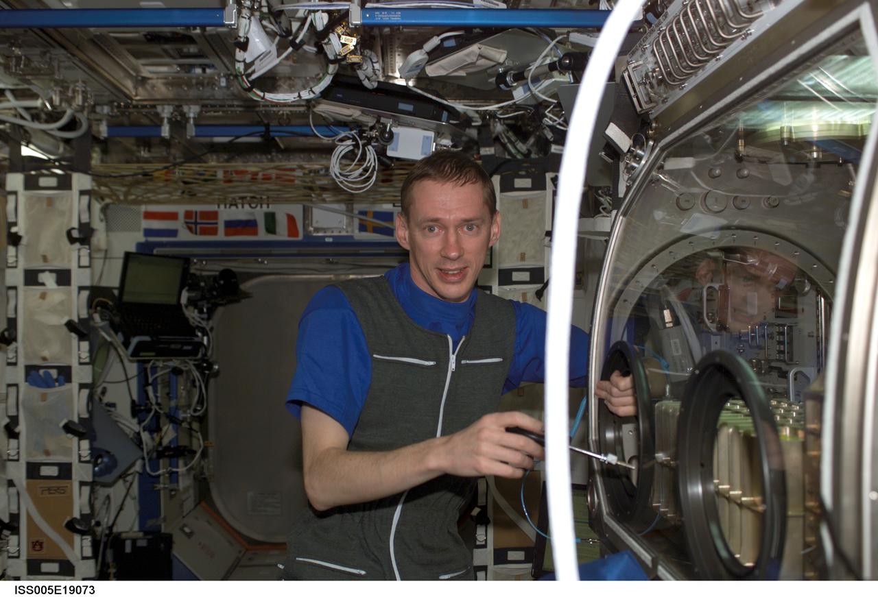 ISS005-E-19073 (1 November 2002) --- Belgian Soyuz 5 Flight Engineer Frank DeWinne, of the European Space Agency (ESA), works with experiments housed in the Microgravity Science Glovebox (MSG) in the Destiny laboratory on the International Space Station (ISS).