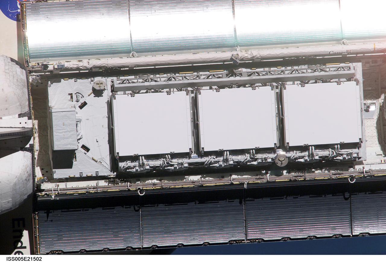 ISS005-E-21502 (25 November 2002) --- This medium close-up view of the Space Shuttle Endeavour's cargo bay was photographed by an Expedition Five crewmember onboard the International Space Station (ISS) during STS-113 rendezvous and docking operations. Docking occurred at 3:59 p.m. (CST) on November 25, 2002. The Port One (P1) truss, which was later to be attached to the station and outfitted during three spacewalks, can be seen in Endeavour's cargo bay.