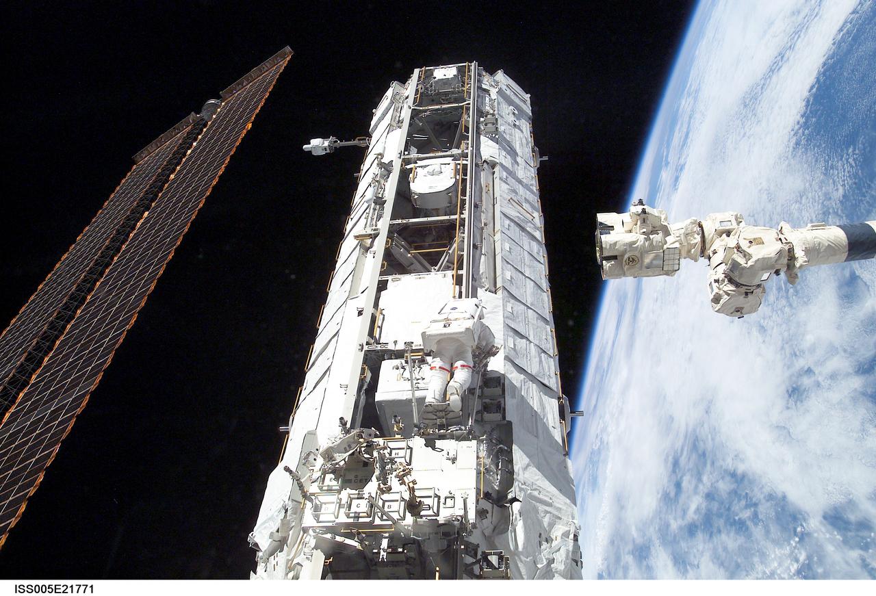 ISS005-E-21771 (28 November 2002) --- Astronaut Michael E. Lopez-Alegria, STS-113 mission specialist, works on the newly installed Port One (P1) truss on the International Space Station (ISS) during a session of extravehicular activity (EVA). The end effector of the Canadarm2 / Space Station Remote Manipulator System (SSRMS) and Earth’s horizon are visible in right frame.