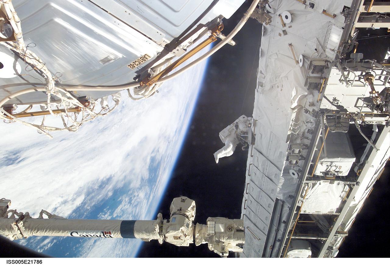 ISS005-E-21786 (28 November 2002) --- Backdropped by the blackness of space and Earth&#0146;s horizon, astronaut John B. Herrington, STS-113 mission specialist, traverses along a truss on the International Space Station (ISS) during a session of extravehicular activity (EVA). The Canadarm2 / Space Station Remote Manipulator System (SSRMS) is visible in bottom frame.