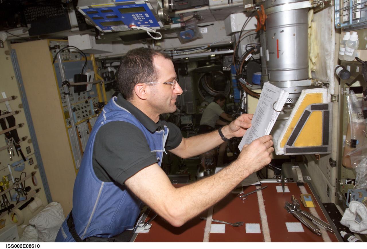 ISS006-E-08610 (18 December 2002) --- Astronaut Donald R. Pettit, Expedition Six NASA ISS science officer, looks over a procedures checklist in the Zvezda Service Module (SM) on the International Space Station (ISS). Pettit went on to complete the scheduled Week 3 potable water sampling and on-orbit chemical/microbial analysis of the SM environment control and life support system.