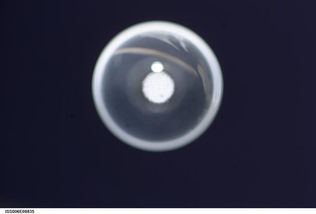 NASA image: Bubble formed as a result of a Zeolite Crystal Growth experiment in the U.S. Laboratory