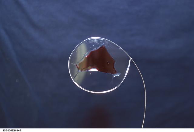 NASA image: Surface Tension Demonstration using Water and Food Coloring in the U.S. Laboratory