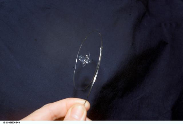 NASA image: View of a surface tension demonstration using water that is being held in place by a 50mm metal loop