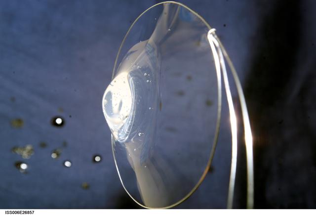 NASA image: View of a surface tension demonstration using water that is being held in place by a 50mm metal loop