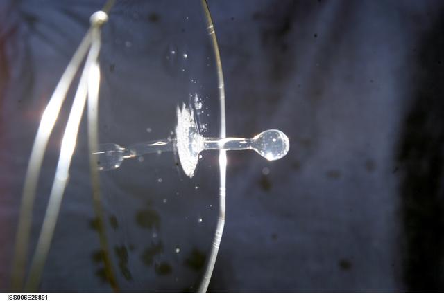 NASA image: View of a surface tension demonstration using water that is being held in place by a 50mm metal loop