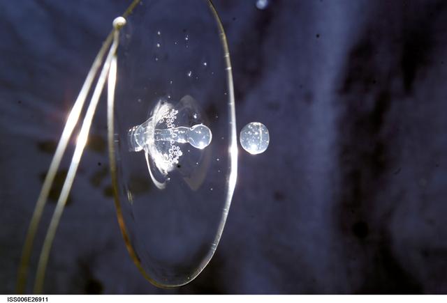 NASA image: View of a surface tension demonstration using water that is being held in place by a 50mm metal loop