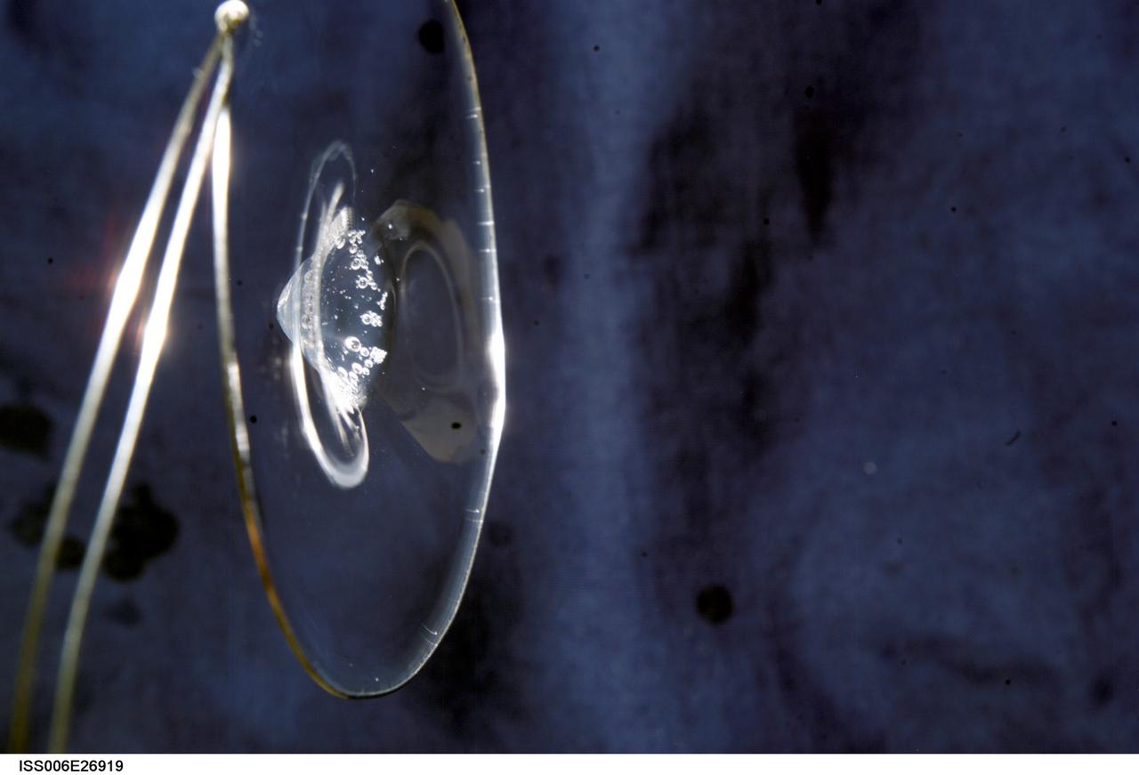 ISS006-E-26919 (16 February 2003) --- View of surface tension demonstration using water that is being held in place by a metal loop. Astronaut Donald R. Pettit, Expedition Six NASA ISS science officer, photographed these demonstrations for educational purposes. The experiment took place in the Destiny laboratory on the International Space Station (ISS).