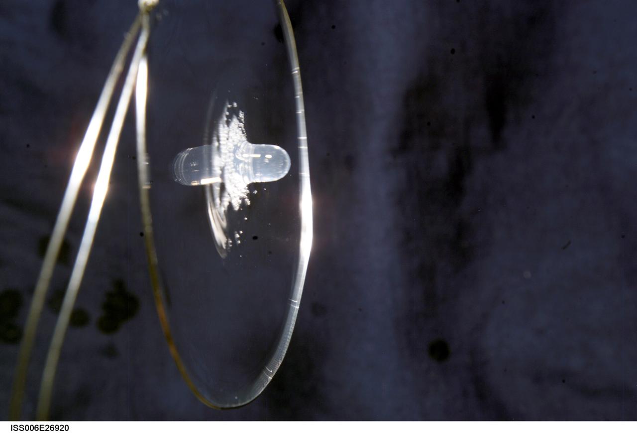 ISS006-E-26920 (16 February 2003) --- View of surface tension demonstration using water that is being held in place by a metal loop. Astronaut Donald R. Pettit, Expedition Six NASA ISS science officer, photographed these demonstrations for educational purposes. The experiment took place in the Destiny laboratory on the International Space Station (ISS).