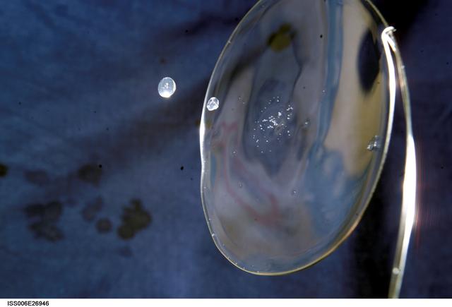 NASA image: View of a surface tension demonstration using water that is being held in place by a 50mm metal loop