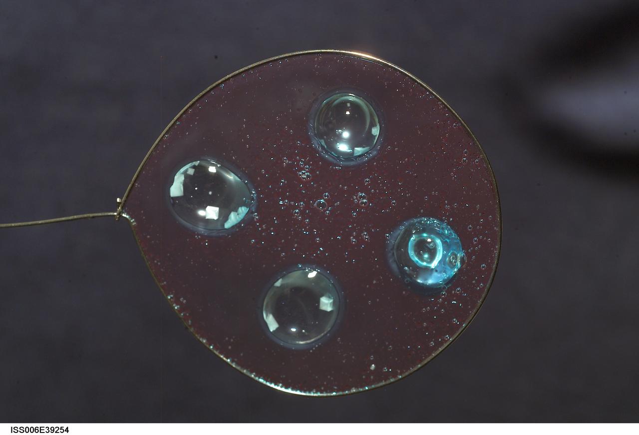 ISS006-E-39254 (14 March 2003) --- A view of sodium chloride inserted onto blueberry jelly within a 50-millimeter (mm) metal loop was photographed by an Expedition Six crewmember. The experiment took place in the Destiny laboratory on the International Space Station (ISS).
