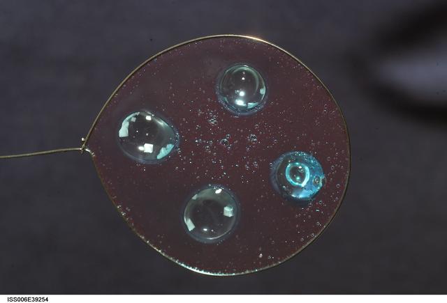NASA image: View of Sodium Chloride inserted onto blueberry jelly within a metal loop on Expedition Six