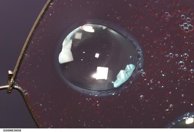 NASA image: View of Sodium Chloride inserted onto blueberry jelly within a metal loop on Expedition Six