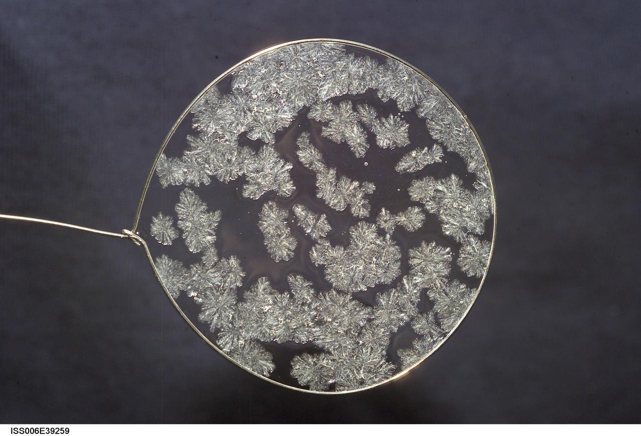 ISS006-E-39259 (14 March 2003) --- A view of sugar crystals in a water bubble within a 50-millimeter (mm) metal loop was photographed by an Expedition Six crewmember. The experiment took place in the Destiny laboratory on the International Space Station (ISS).