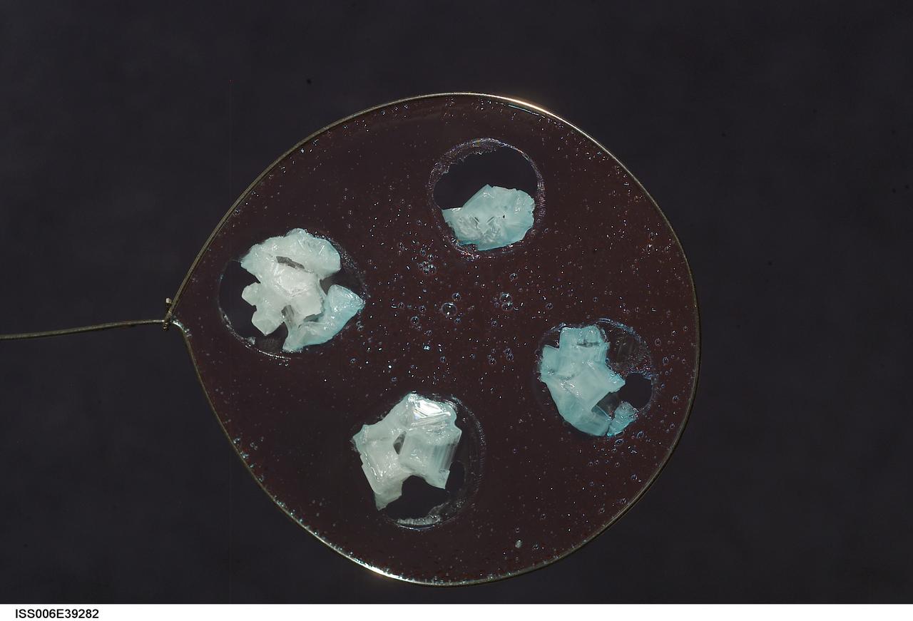ISS006-E-39282 (15 March 2003) --- A view of sodium chloride inserted onto blueberry jelly within a 50-millimeter (mm) metal loop was photographed by an Expedition Six crewmember. The water in the sodium chloride solution evaporates as it leaves larger three-dimensional crystals while the blueberry jelly hardens. The experiment took place in the Destiny laboratory on the International Space Station (ISS).