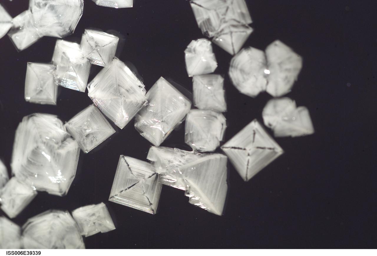 ISS006-E-39339 (15 March 2003) --- A close up view of sodium chloride crystals in a water bubble within a 50-millimeter metal loop was photographed by an Expedition Six crewmember. The experiment took place in the Destiny laboratory on the International Space Station (ISS).