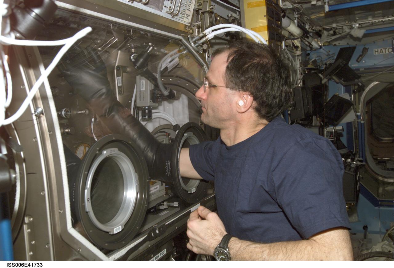 ISS006-E-41733 (1 April 2003) --- Astronaut Donald R. Pettit, Expedition Six NASA ISS science officer, works with the InSpace (Investigating the Structure of Paramagnetic Aggregates from Colloidal Emulsions) experiment in the Microgravity Science Glovebox (MSG) in the Destiny laboratory on the International Space Station (ISS).