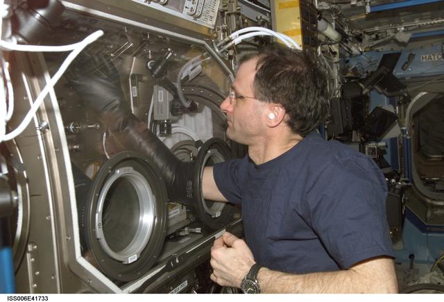 NASA image: Flight Engineer Donald R. Pettit works with the InSpace experiments in the MSG in the U.S. Lab