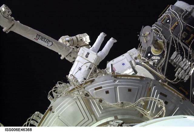 NASA image: Flight Engineer Pettit and Commander Bowersox work in tandem on a session of EVA