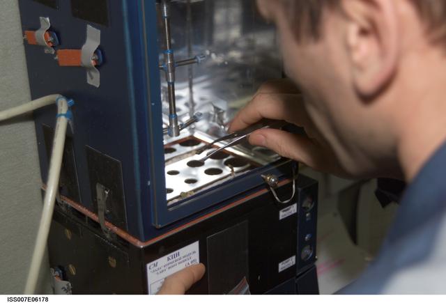 NASA image: Expedition Seven CDR Malenchenko with LADA greenhouse