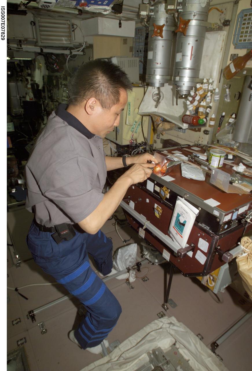 ISS007-E-07829 (21 June 2003) --- Astronaut Edward T. Lu, Expedition 7 NASA ISS science officer and flight engineer, prepares to eat a meal in the Zvezda Service Module on the International Space Station (ISS).